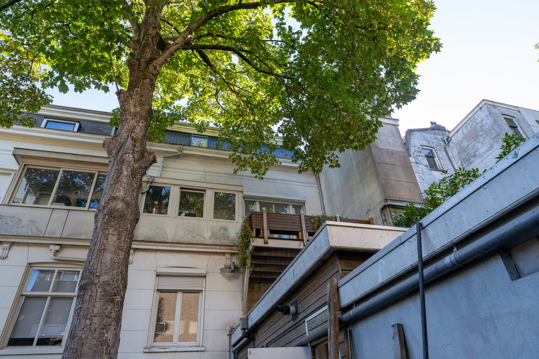 Foto 43 van Linnaeusstraat 6