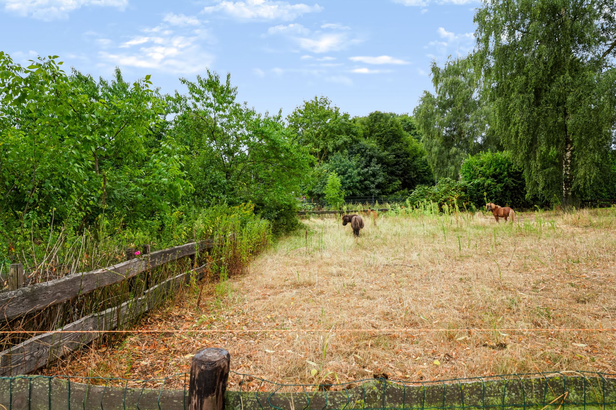 Photo 9 of Wilhelminastraat 111