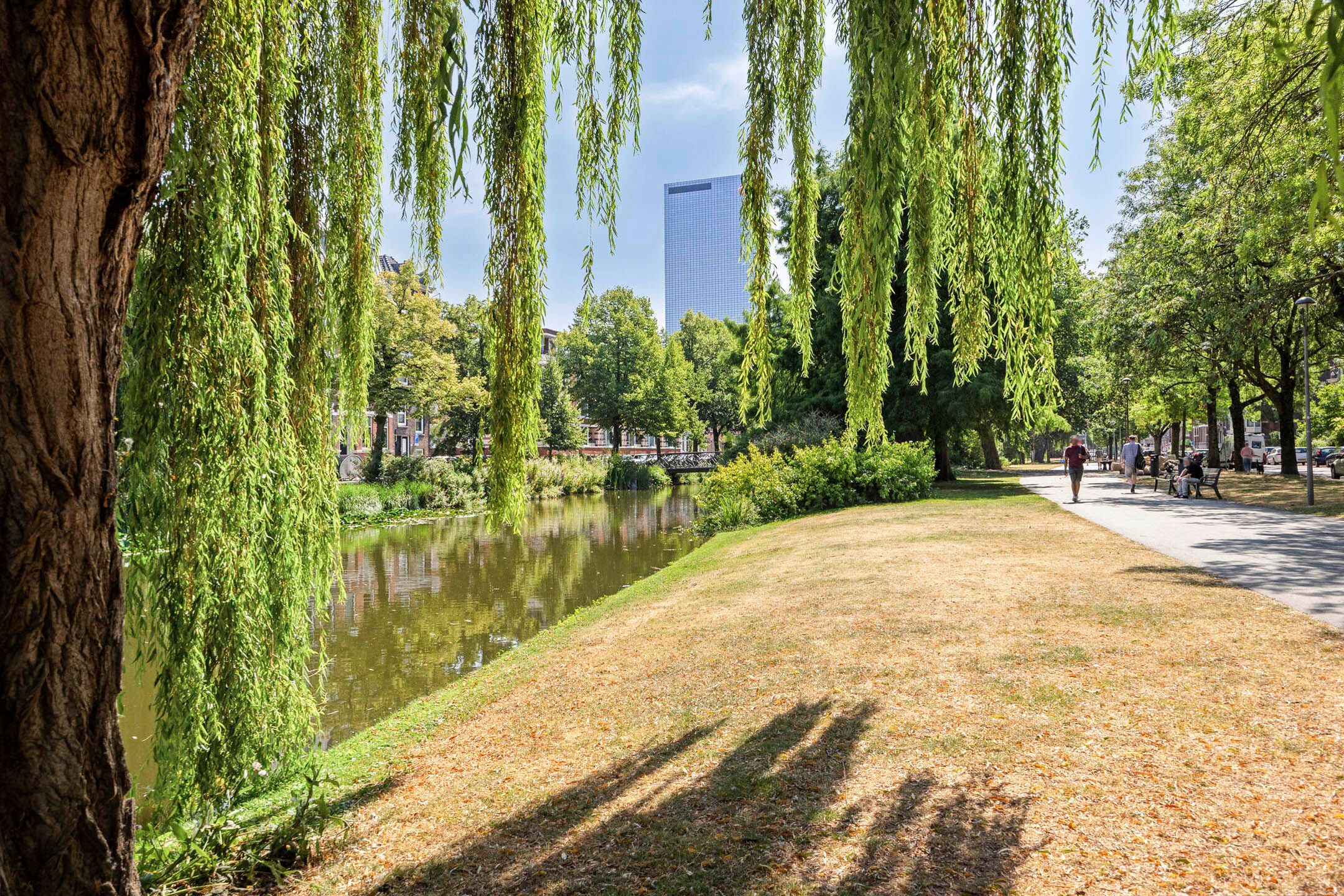 Foto 42 van Spoorsingel 14-B