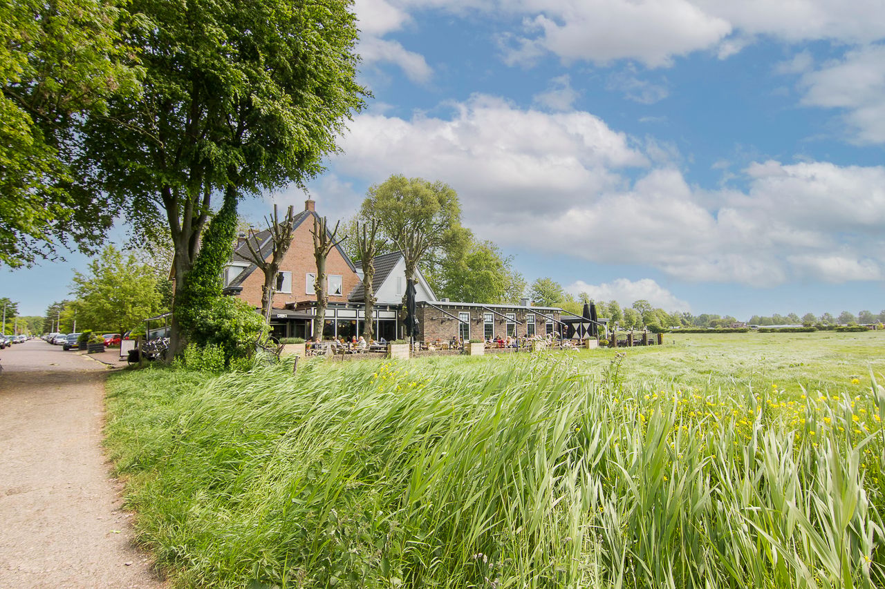 Foto 45 van Duinroosplantsoen 6