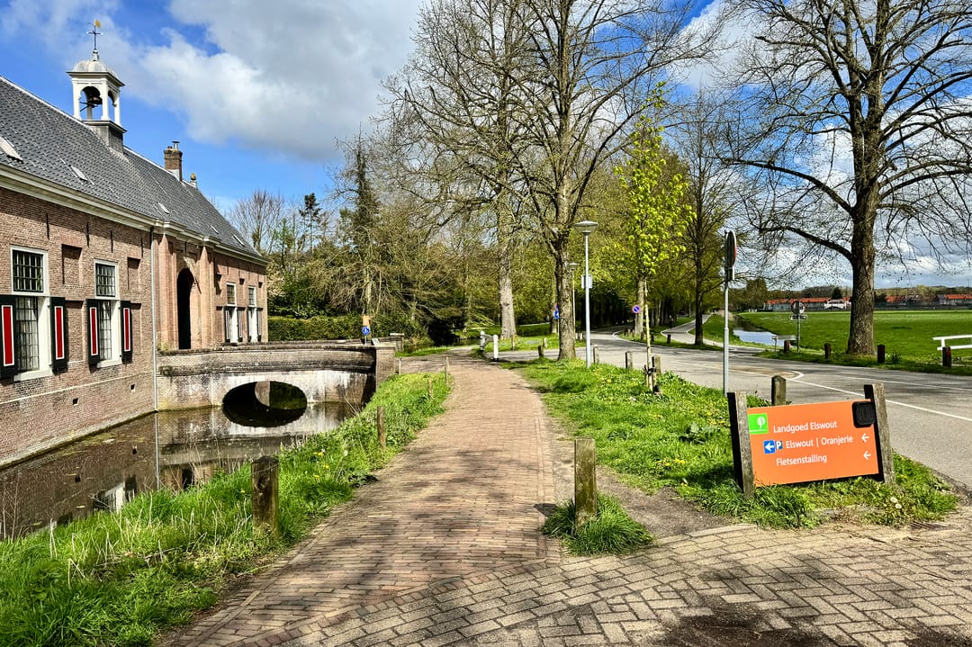 Foto 47 van Duinroosplantsoen 6