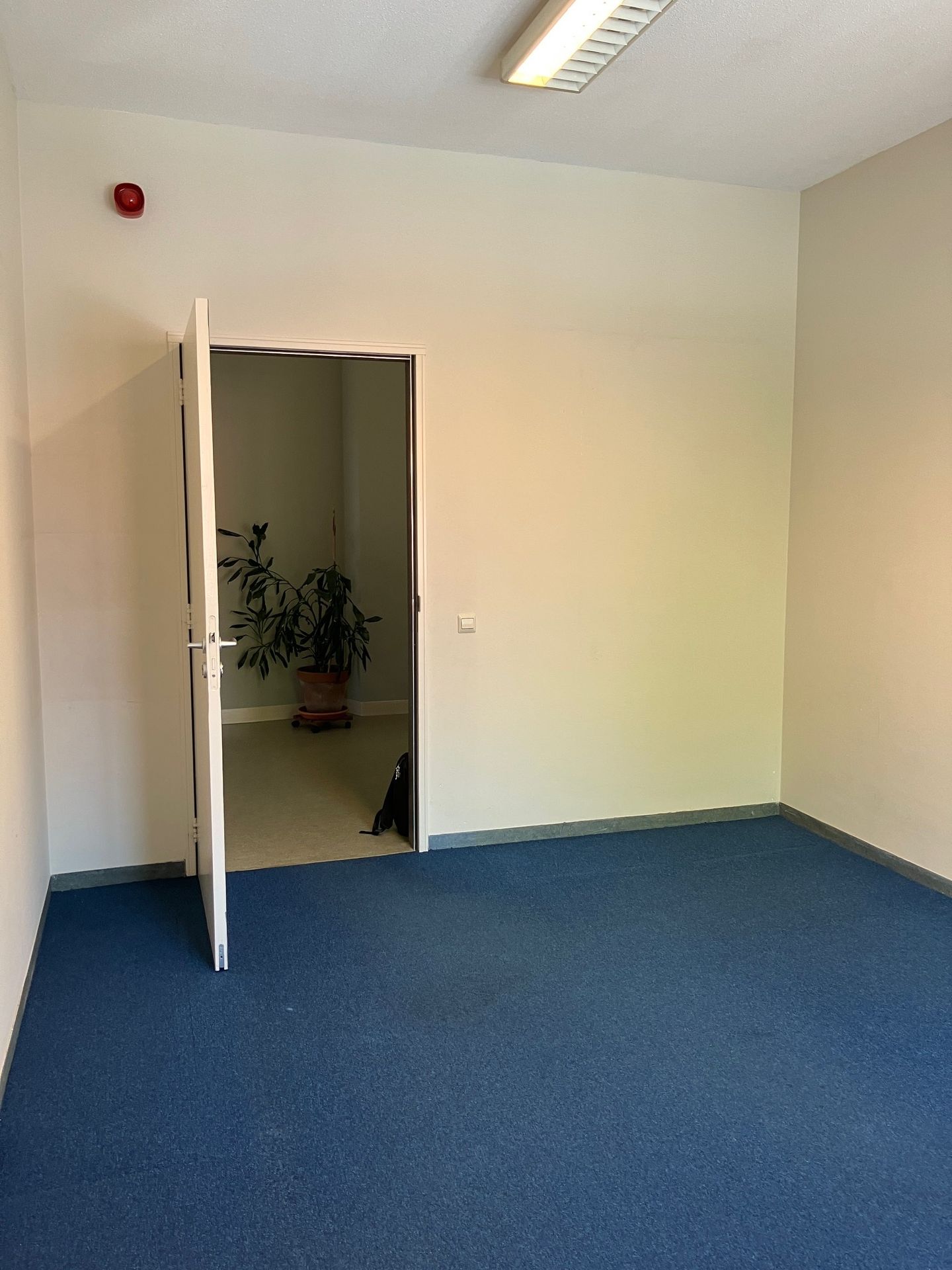 Bekijk foto 5 van Nassaulaan 23