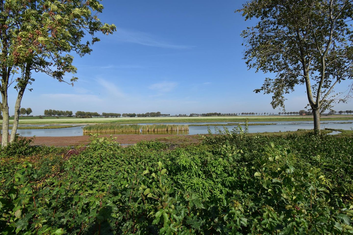 Foto 25 van Peuterdijk 50-11