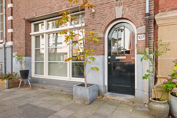 Foto 2 van Rapenburgerstraat 107-2