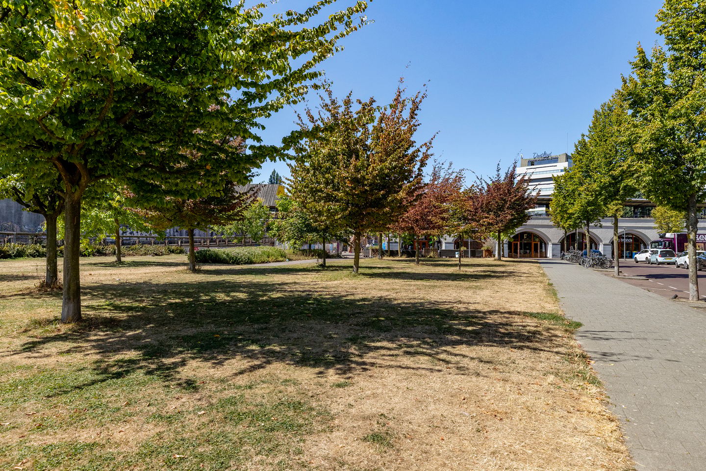 Photo 29 of Gravin Adélastraat 62