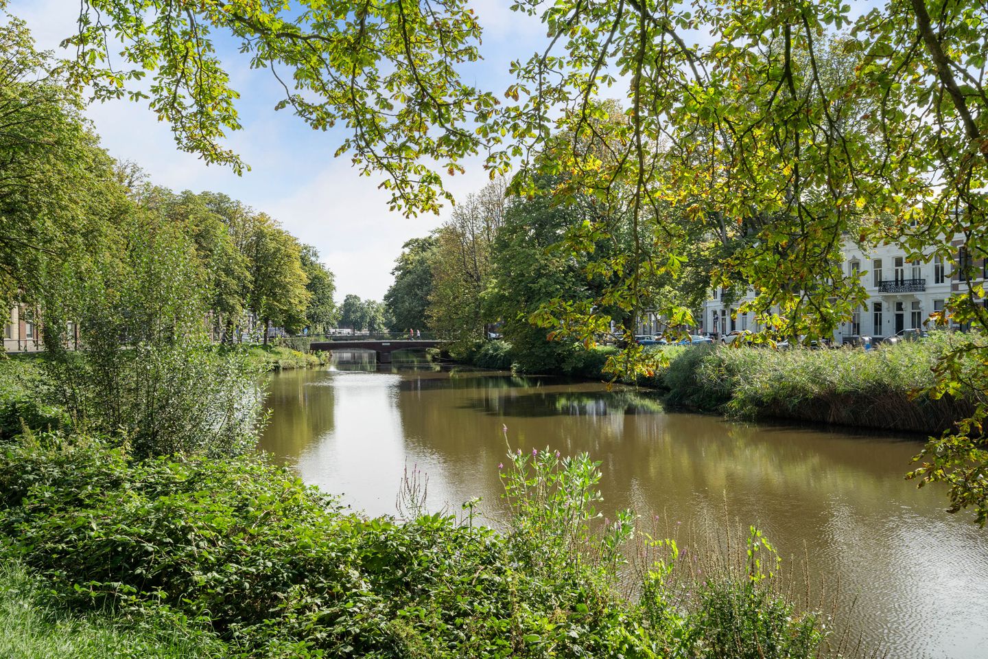Foto 49 van Meerten Verhoffstraat 10-D23