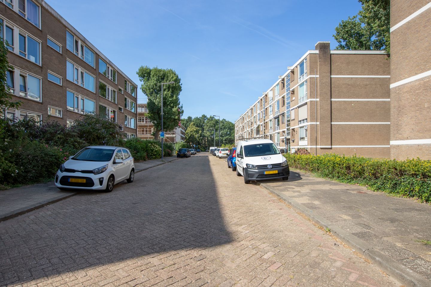Foto 5 van Schalkeroord 13