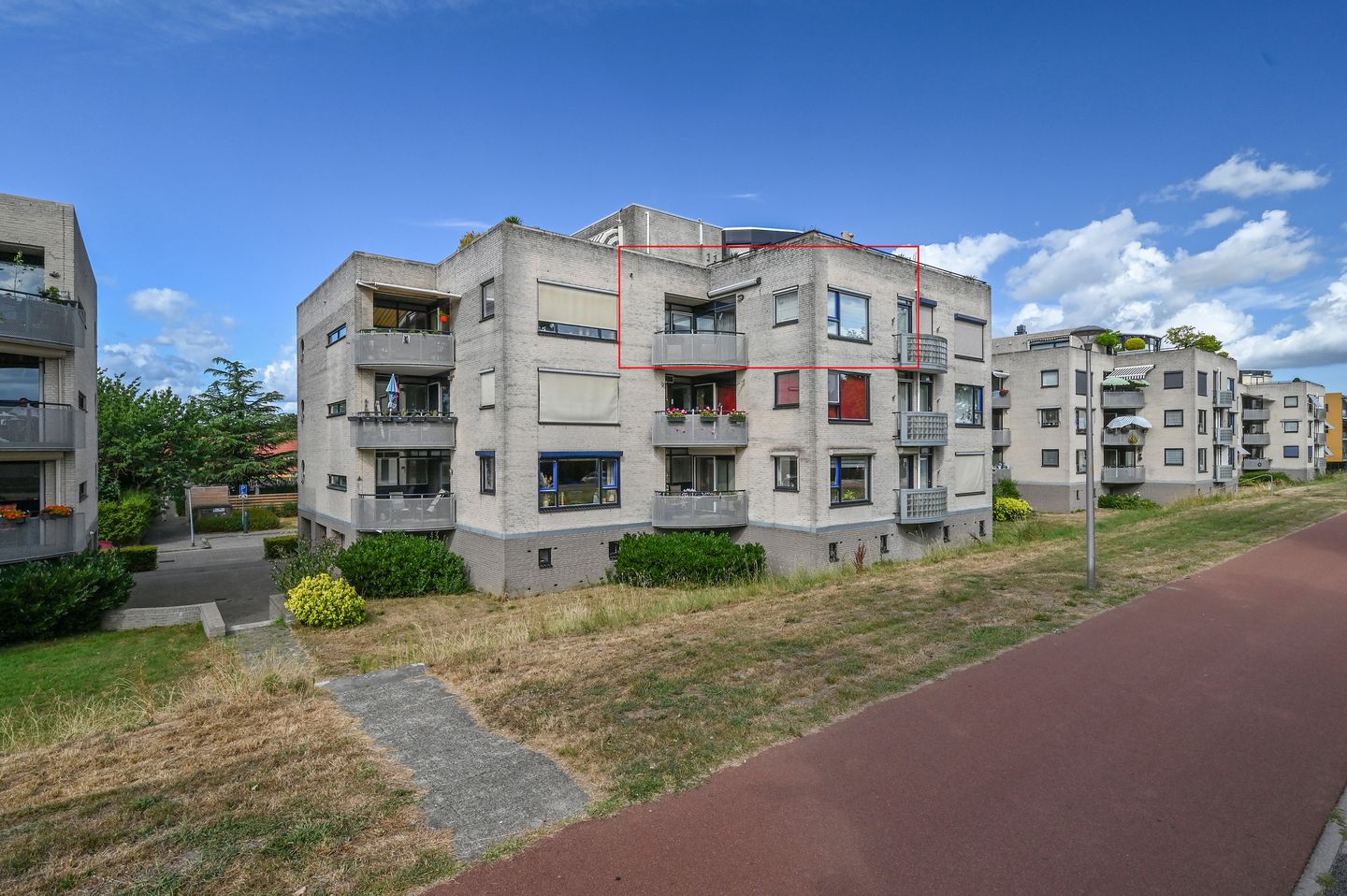 Foto 1 van Sterrekruid 73