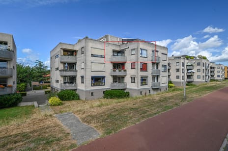 Sterrekruid thumbnail