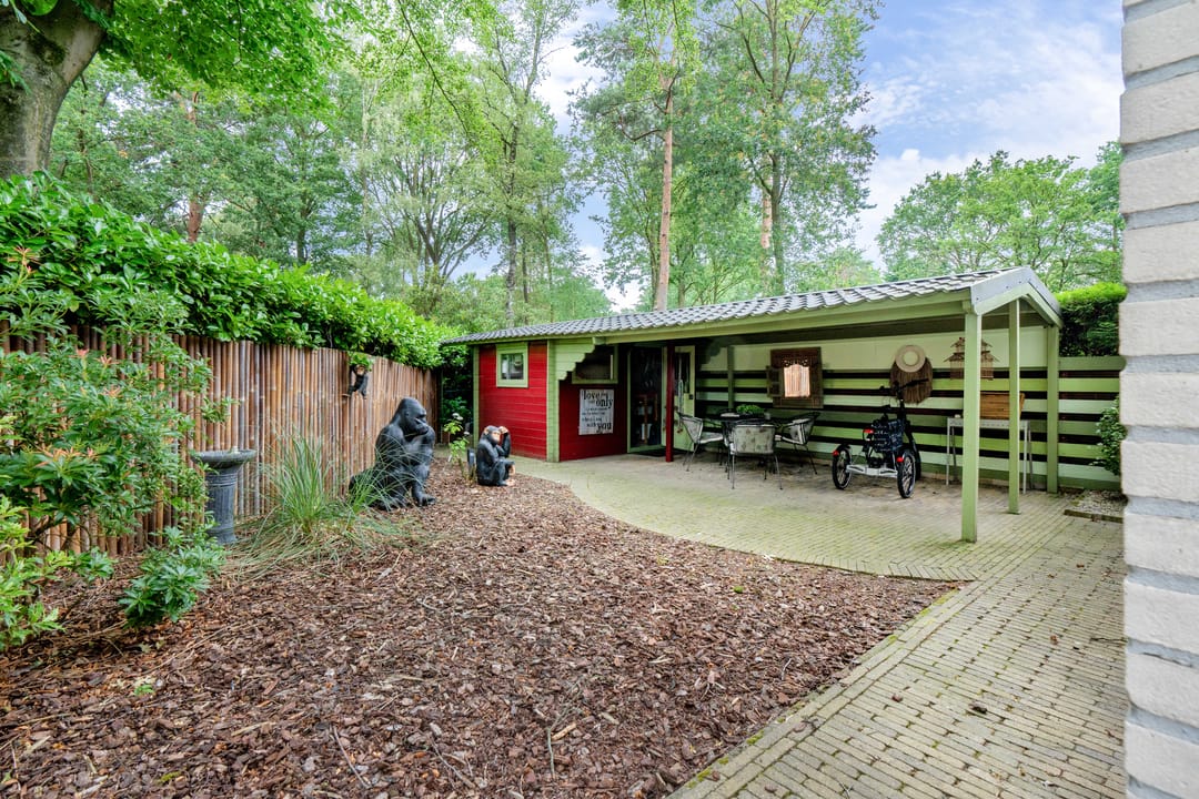 Foto 26 van Kievit 12-B279