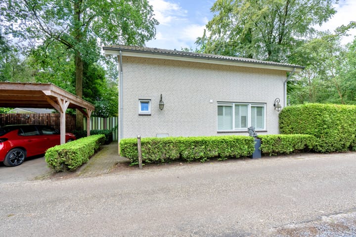 Foto 2 van Kievit 12-B279