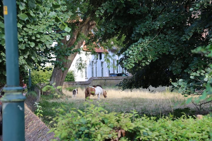 Foto 4 van Kerkstraat 4
