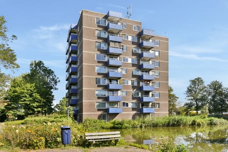 Bijvoet thumbnail