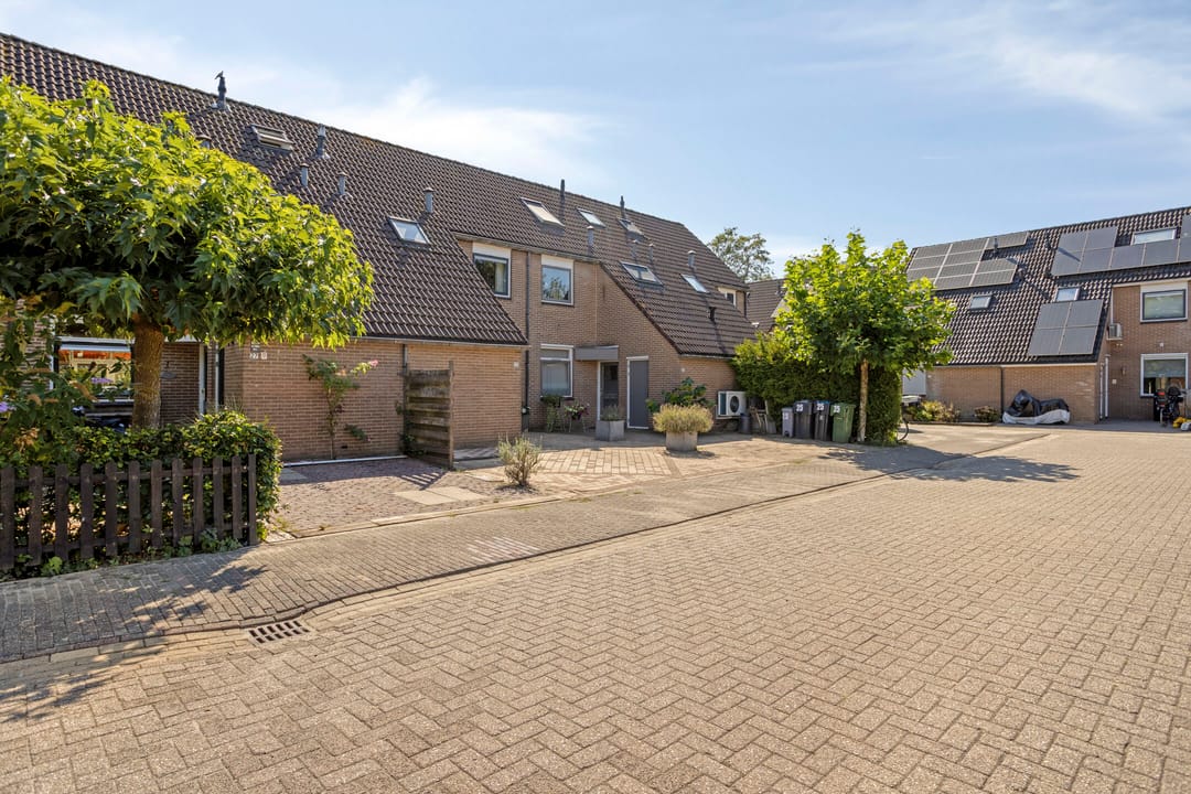 Foto 37 van Pinksterbloem 26