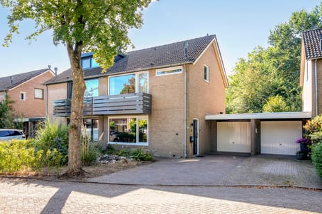 Schaepmanstraat thumbnail
