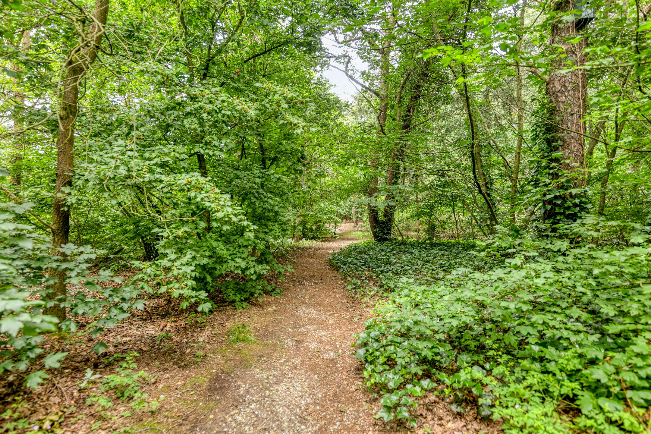 Photo 33 of Drenthehof 80
