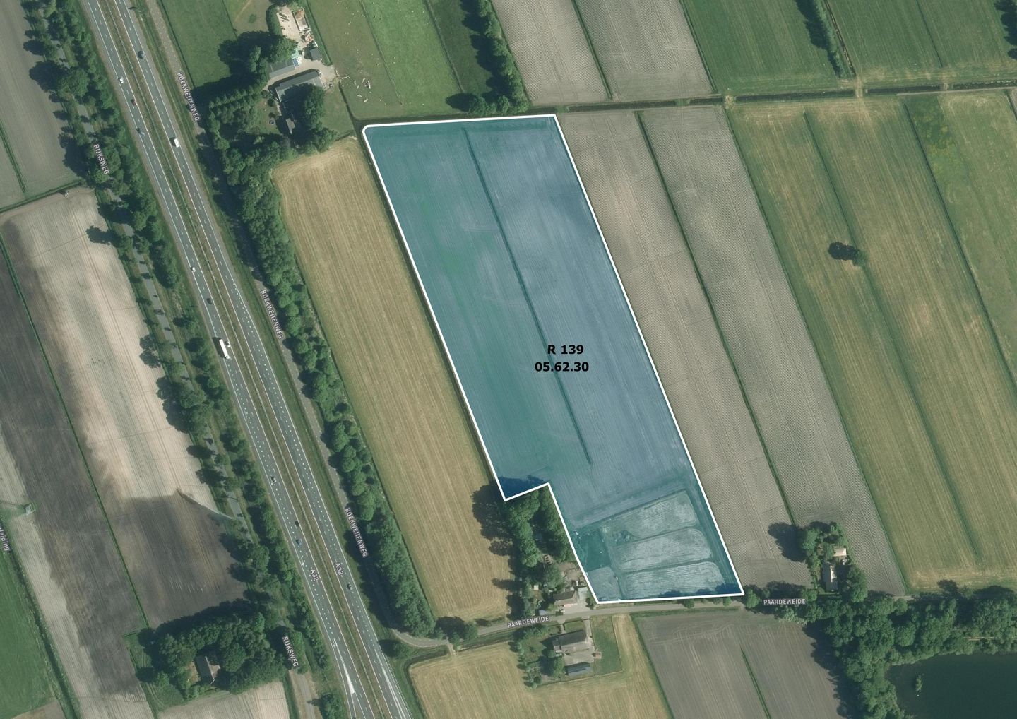 Bekijk foto 2 van Paardeweide
