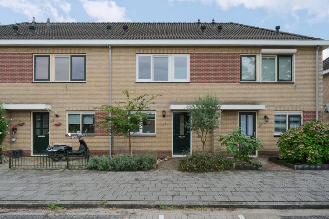 Foto 2 van De Rotsduif 19