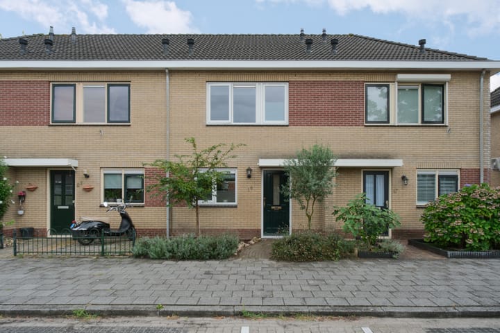 Foto 2 van De Rotsduif 19