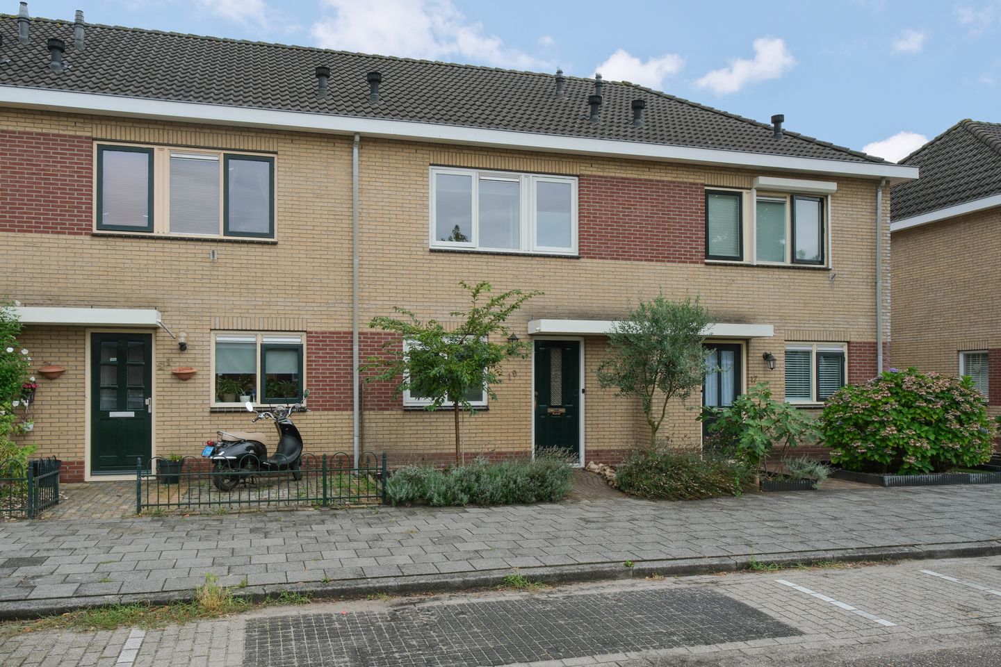 Foto 20 van De Rotsduif 19