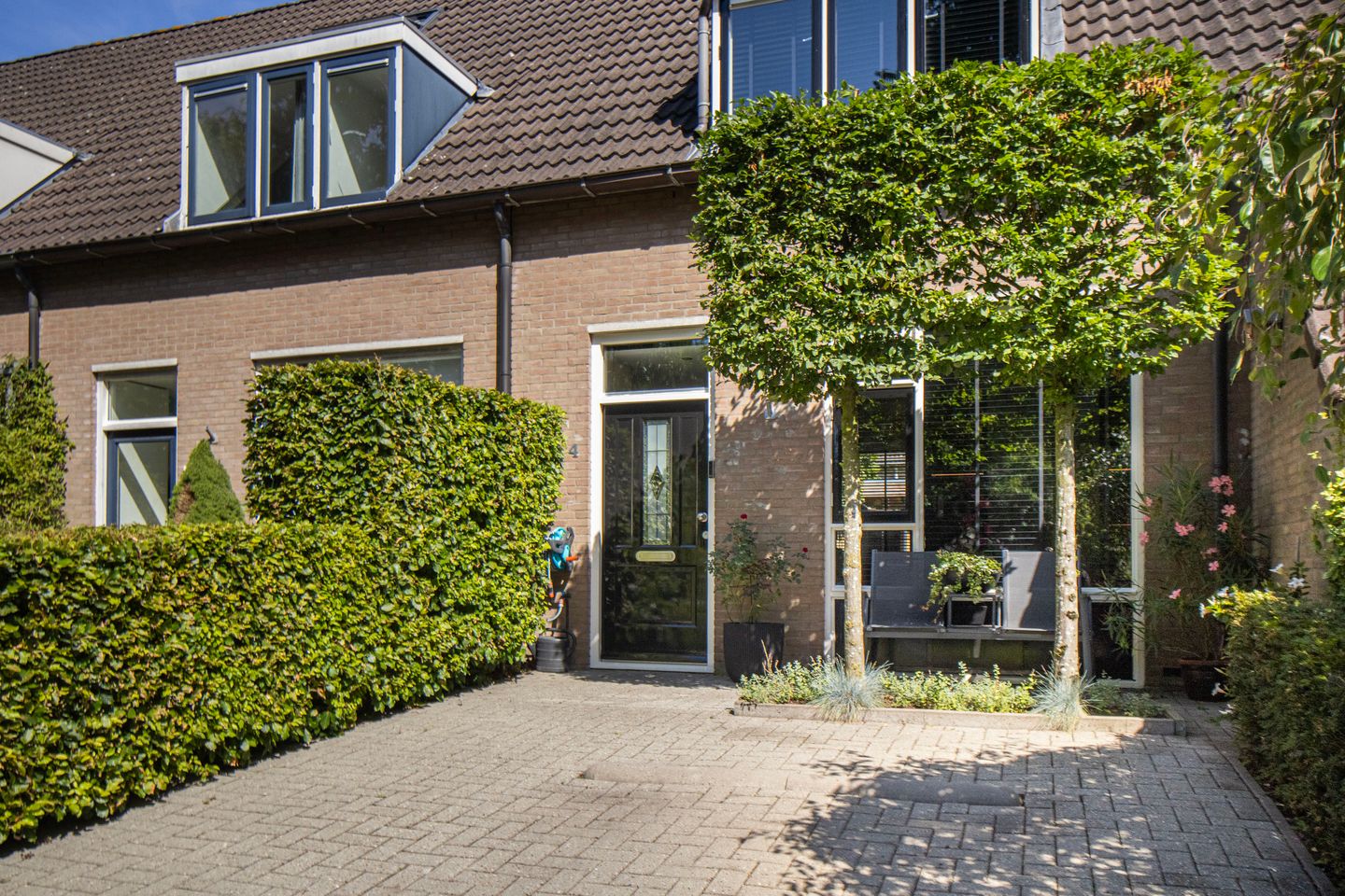 Foto 44 van Pinksterbloem 4