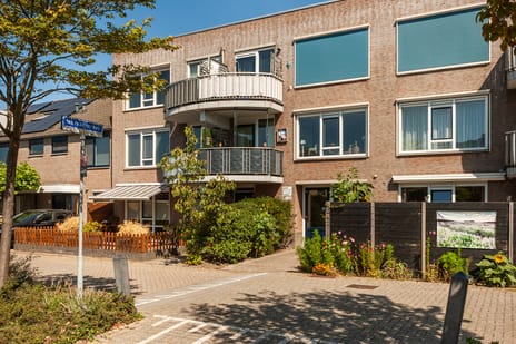 Murraijstraat thumbnail