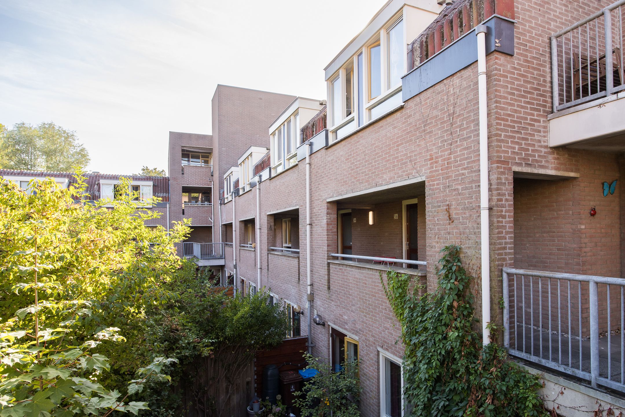 Reiderland 36 