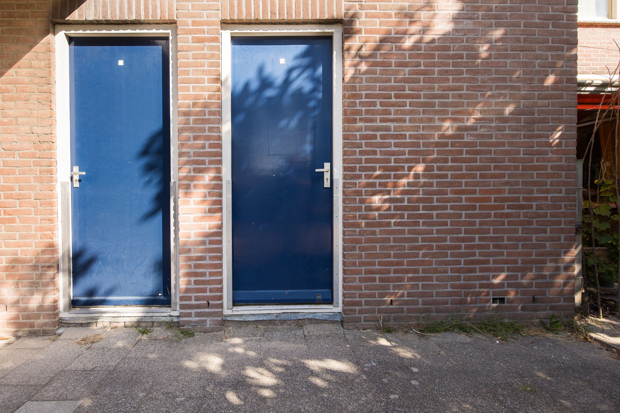 Foto 42 van Reiderland 36