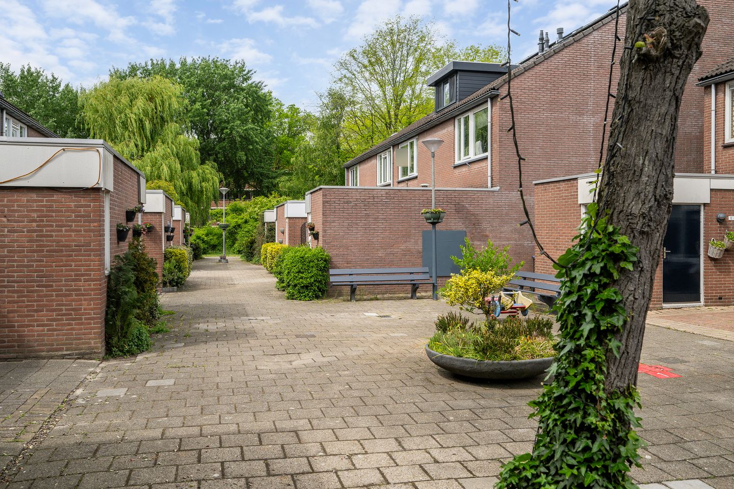 Foto 10 van Frenkelpad 18