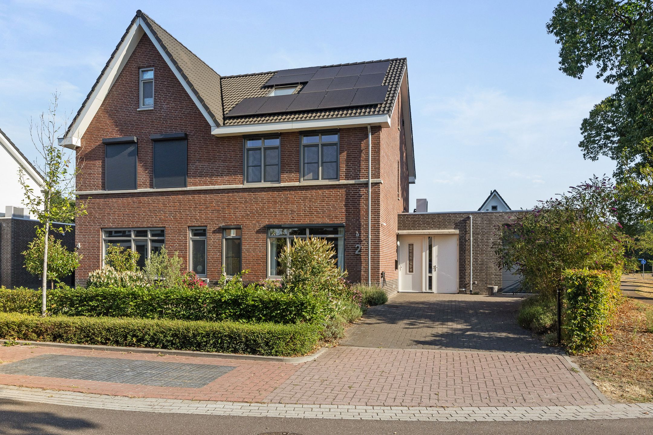 Pijnboom 2 
