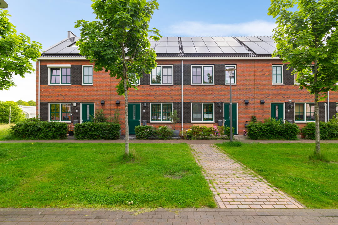 Foto 7 van Pronkridder 11
