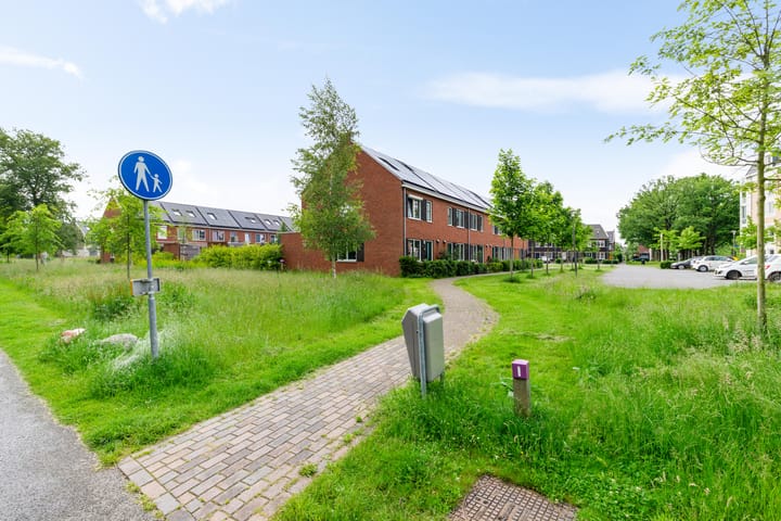 Foto 5 van Pronkridder 11