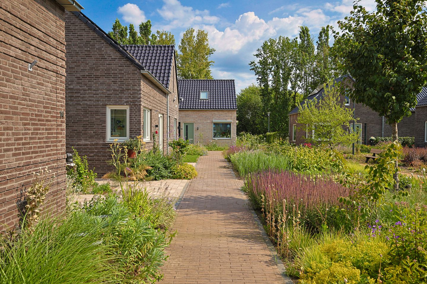 Foto 5 van Zilverhof 11