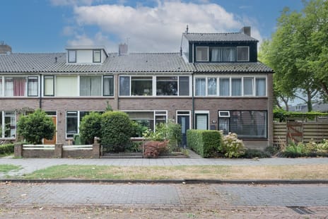Frans Halsstraat thumbnail