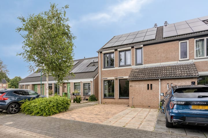 Foto 4 van Kruisdistel 42
