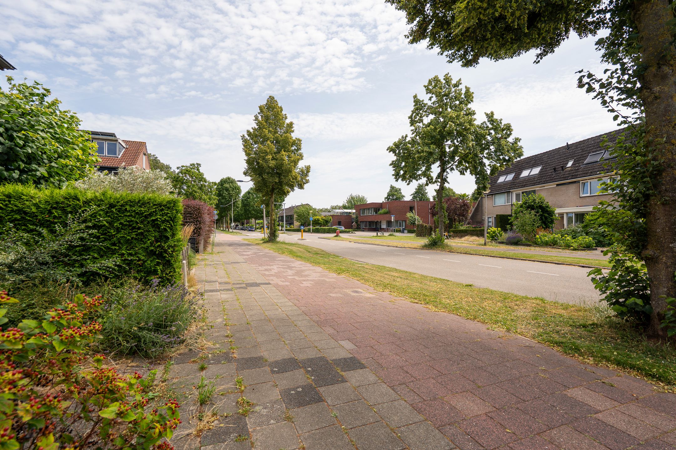 Foto 45 van Linnaeuslaan 102