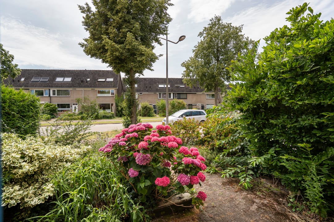 Foto 46 van Linnaeuslaan 102