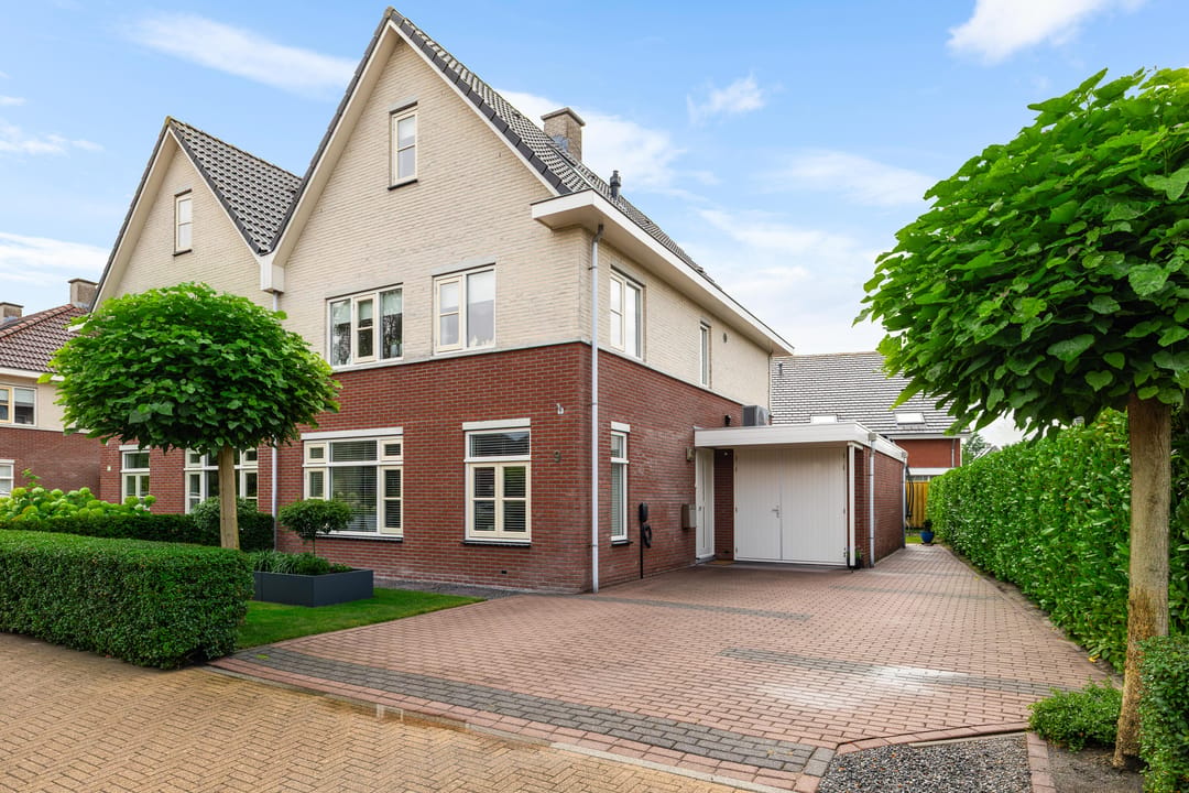 Foto 1 van Wilg 9