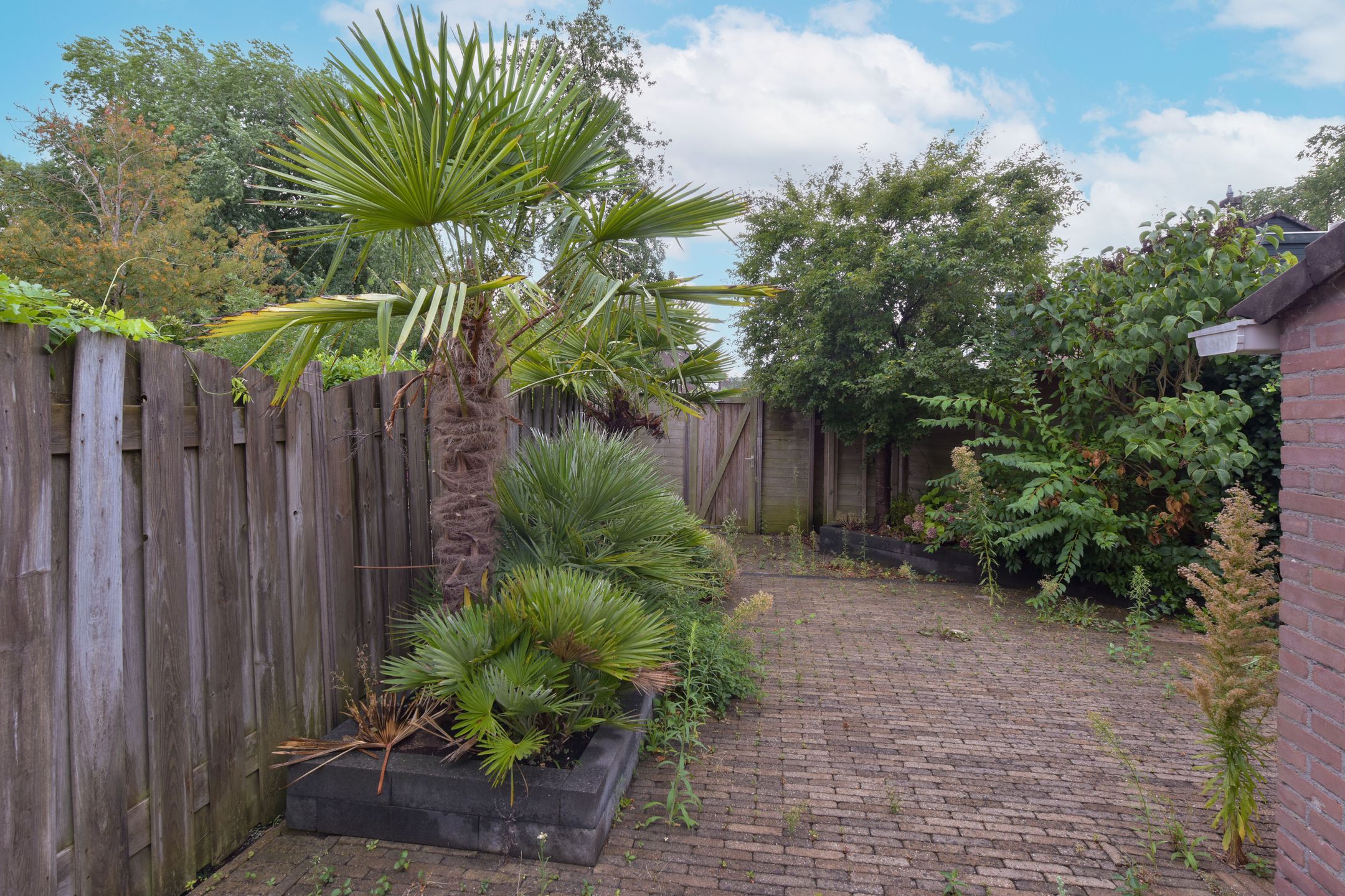 Photo 9 of Briljant 15