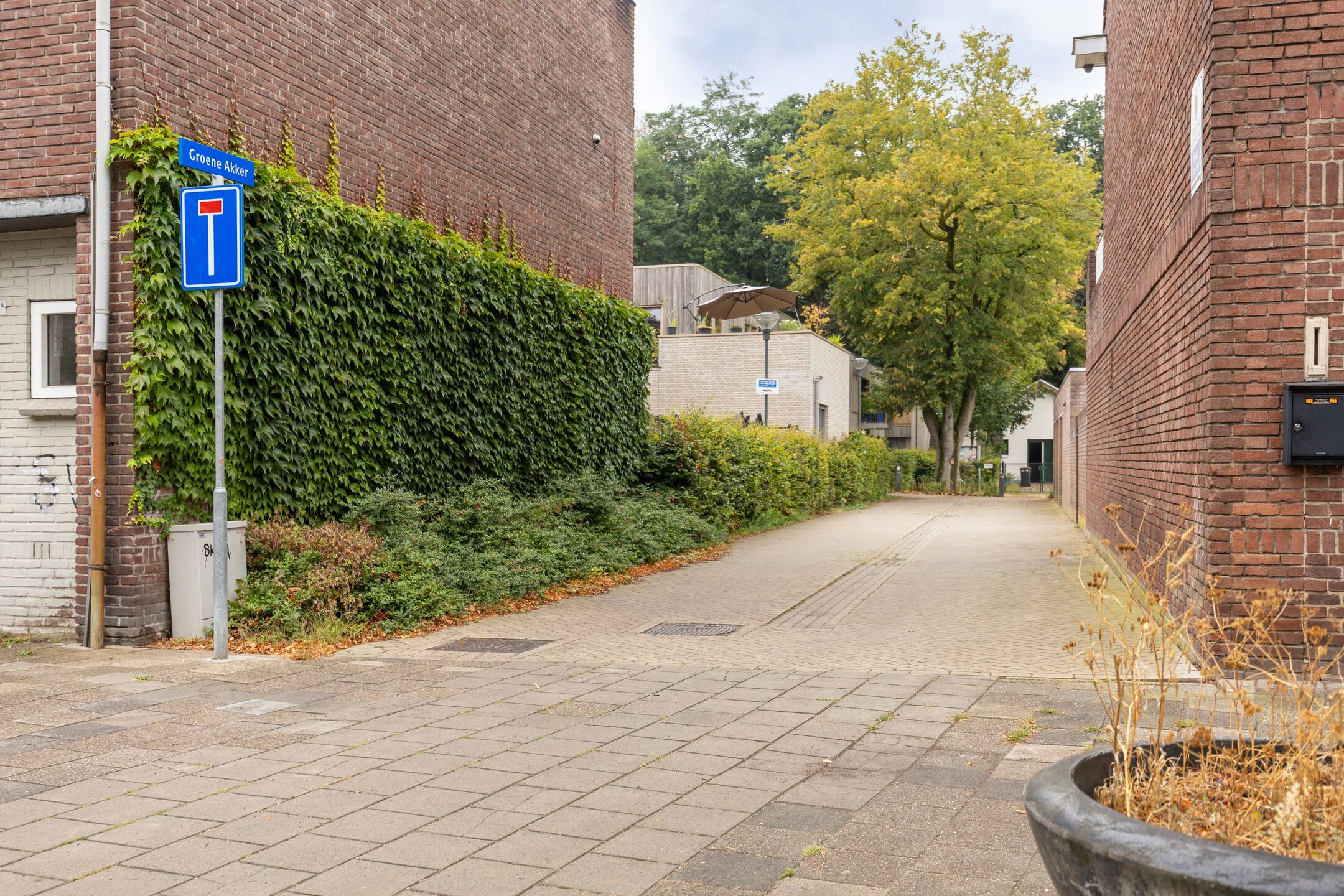 Photo 9 of Groene Akker 1