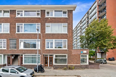 Pasteursingel thumbnail
