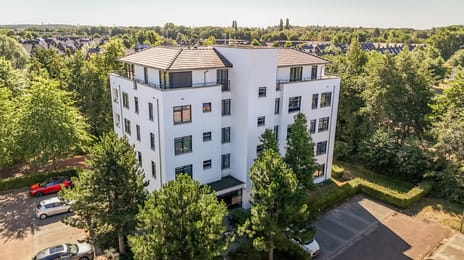 Zijpenbergerhout thumbnail