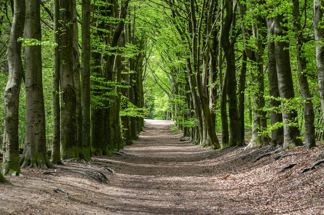 Foto 41 van Noordelijke Parallelweg 64