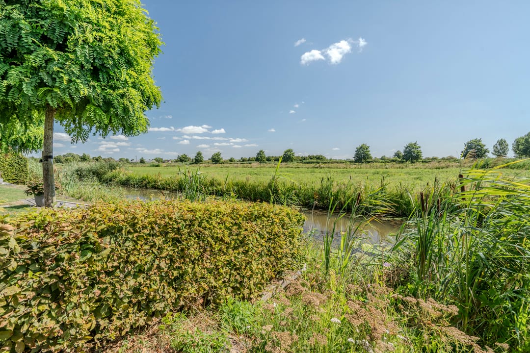 Photo 8 of Zilverschoon 42