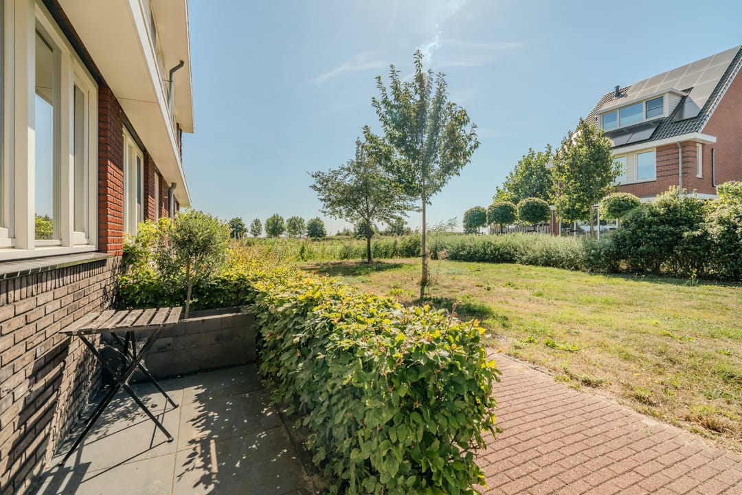 Photo 7 of Zilverschoon 42