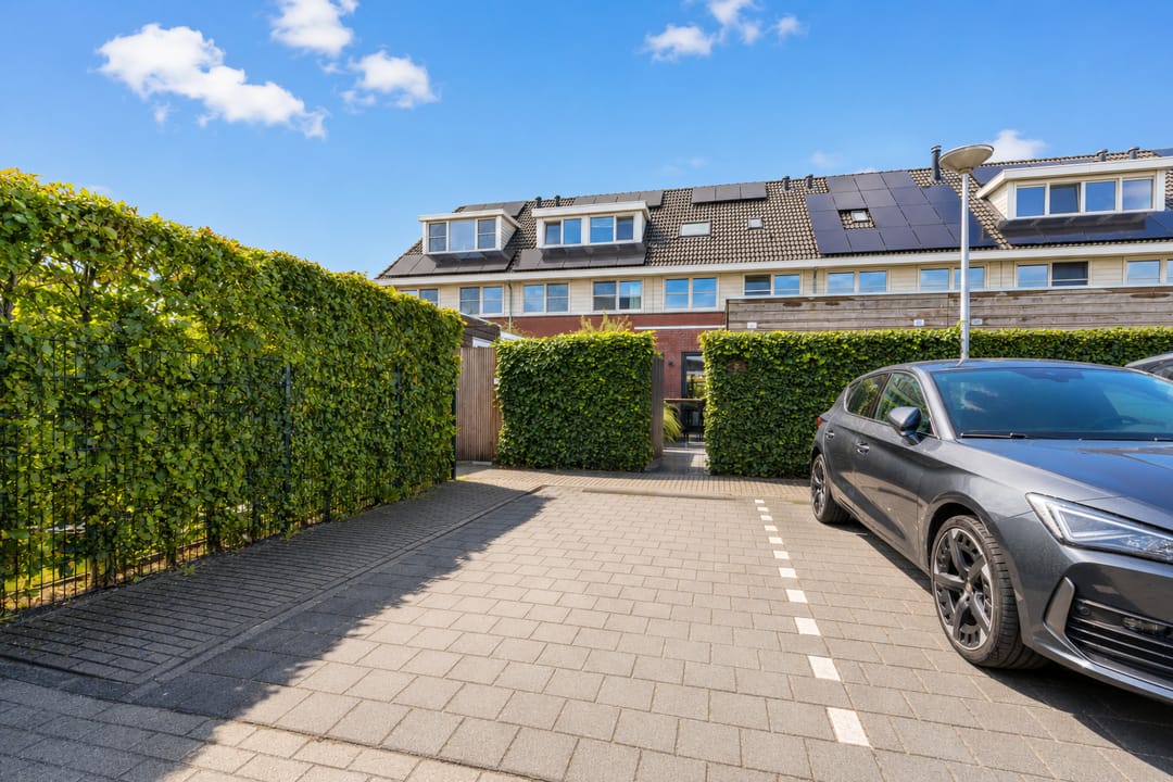 Photo 52 of Zilverschoon 42