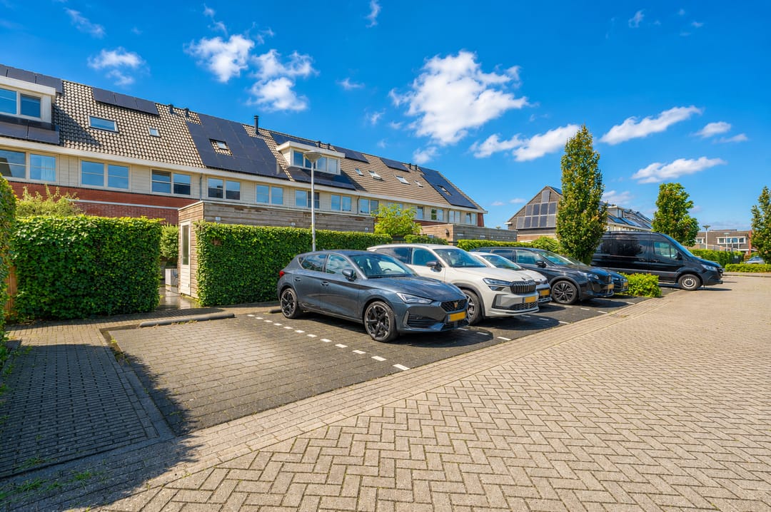 Photo 53 of Zilverschoon 42