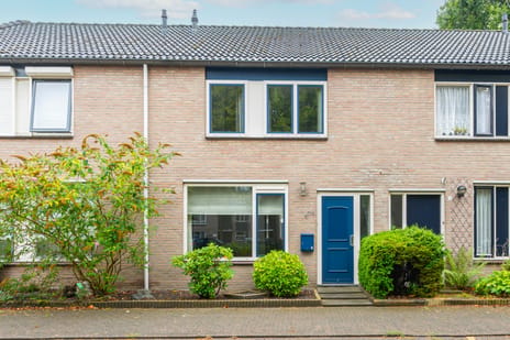 Boletenplein thumbnail