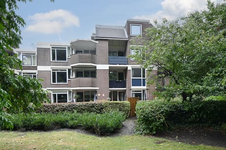 Roggekamp thumbnail