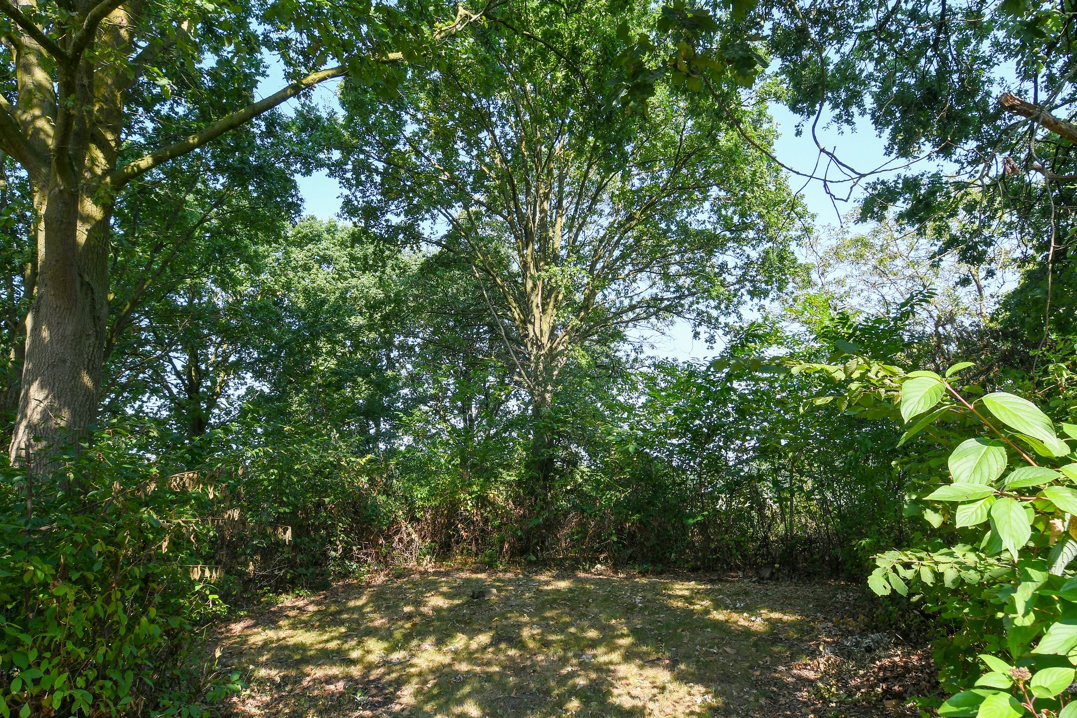 Foto 42 van Rijksweg 13